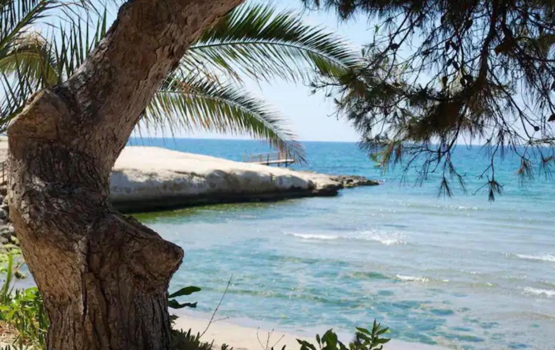 Estrella Del Mar