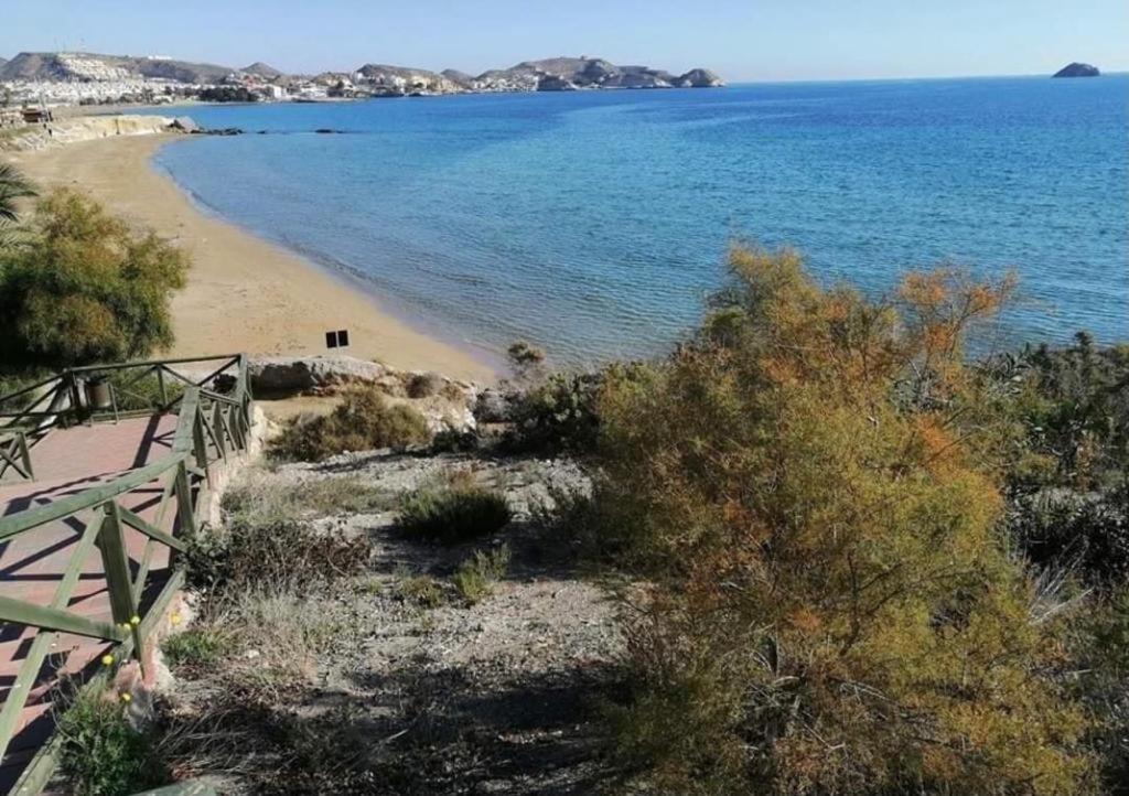 Estrella Del Mar